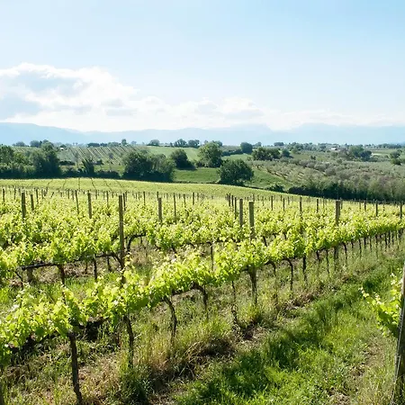 Podere Fonte Sala 101s