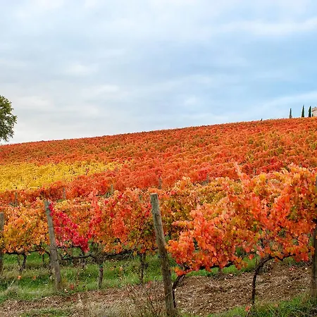 Podere Fonte Sala 101s 公寓 卡萨莱