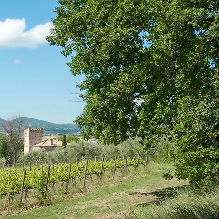 Podere Fonte Sala 101s 公寓