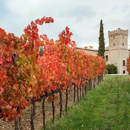 Podere Fonte Sala 101s 公寓 *